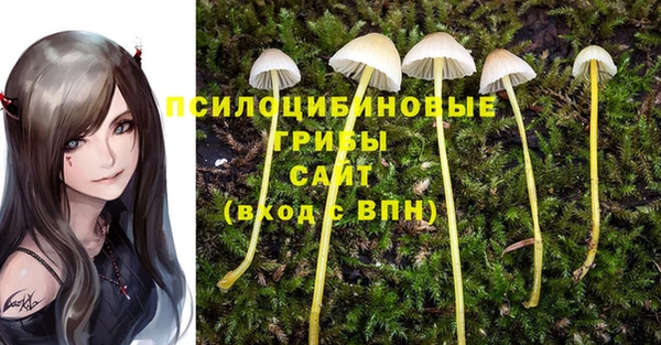 мяу мяу мука Навашино