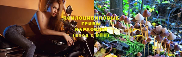 таблы Аркадак