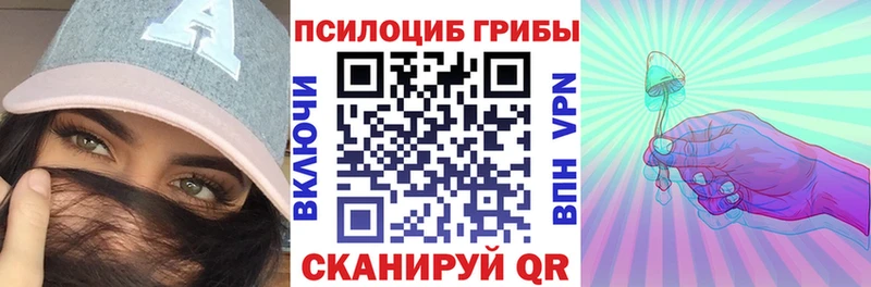 Псилоцибиновые грибы Cubensis  Коломна 